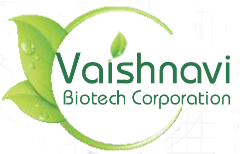 VAISHNAVI SINDUR (LOGO) Trademark Application Detail | COMPANY VAKIL